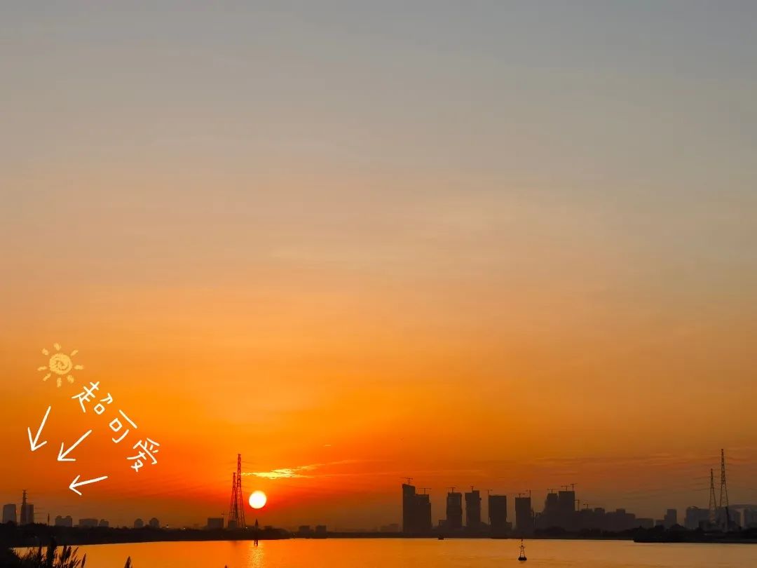 1702955160825948.jpg 26.jpg