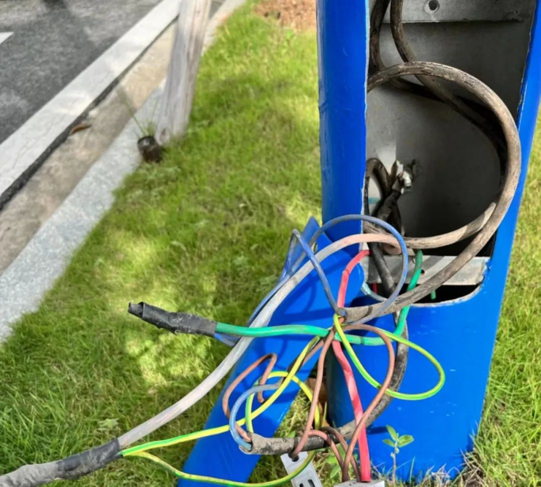 1704180153876287.jpg 8.jpg