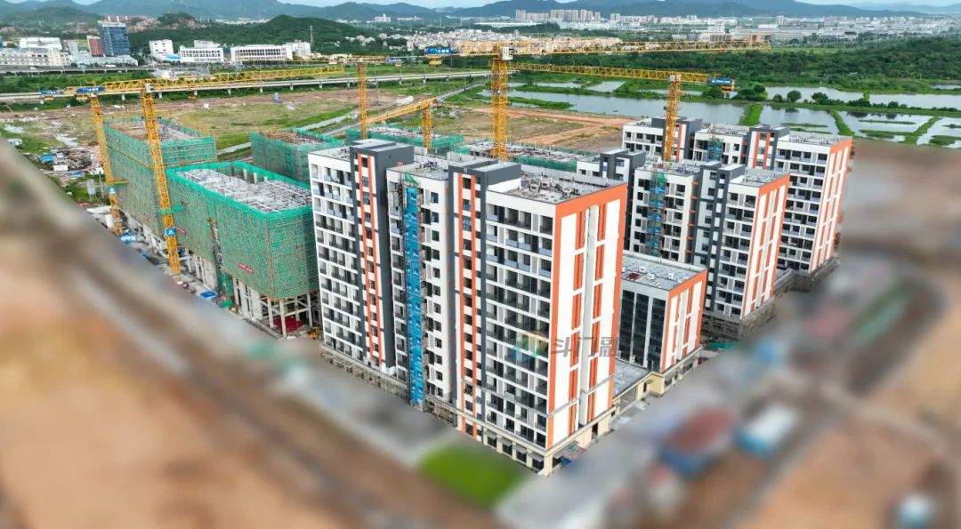 1722219910914416.jpg 10.jpg