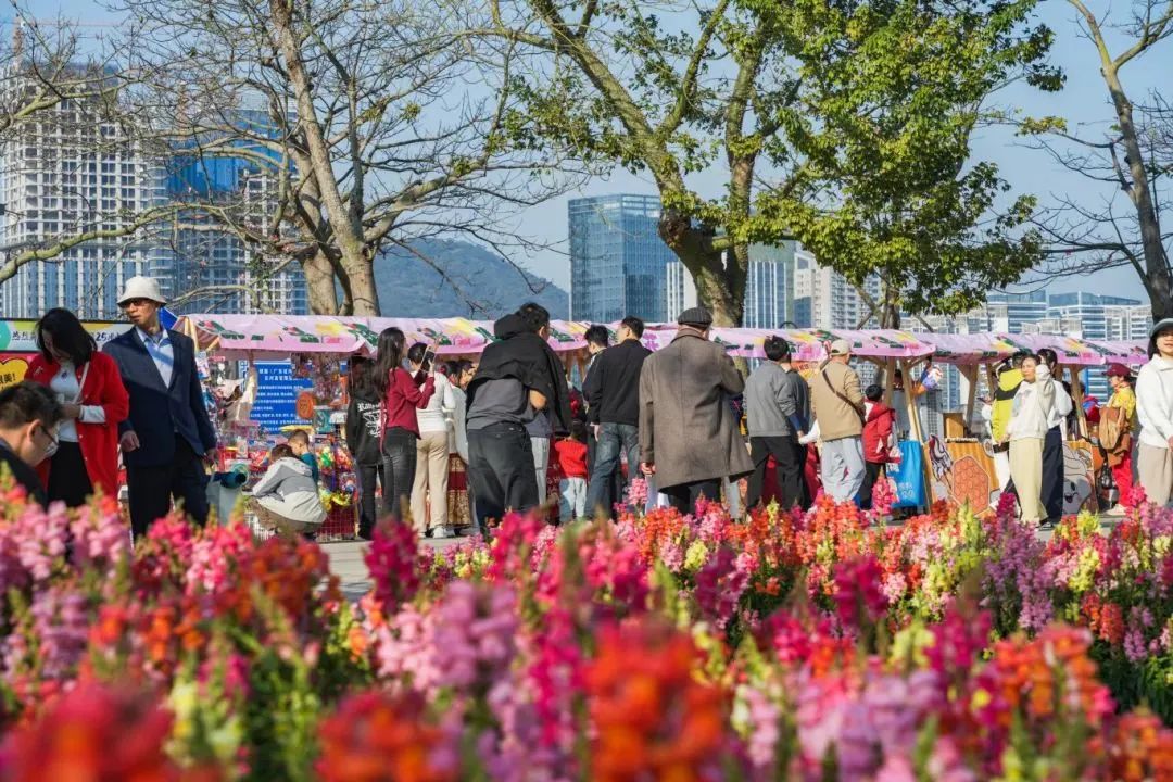 1739153010263239.jpg 4.jpg